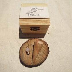 Péndulo araucaria - Image 2